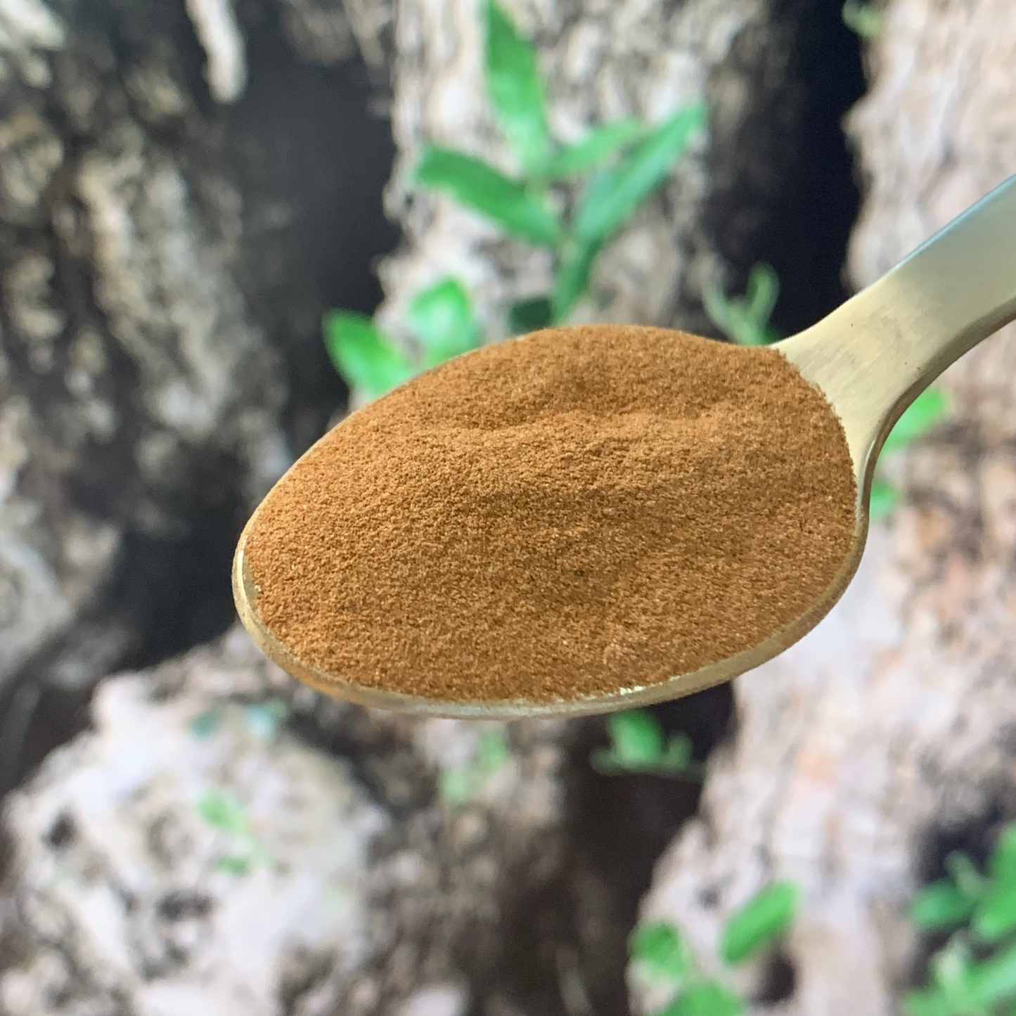 Ecorce Naturelle 100% Anti Douleur